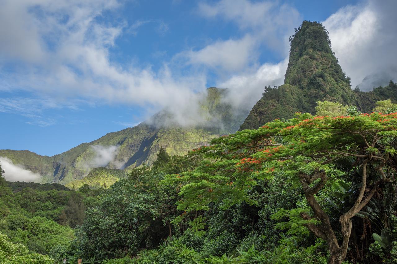 Central Maui Hostel Wailuku Экстерьер фото